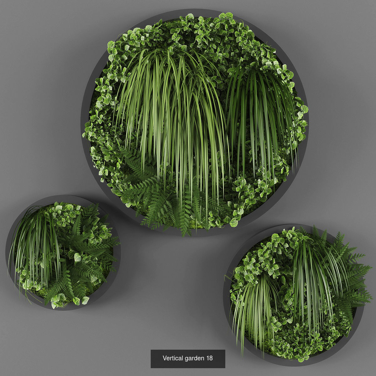 Collection of Vertical garden - 20 _11