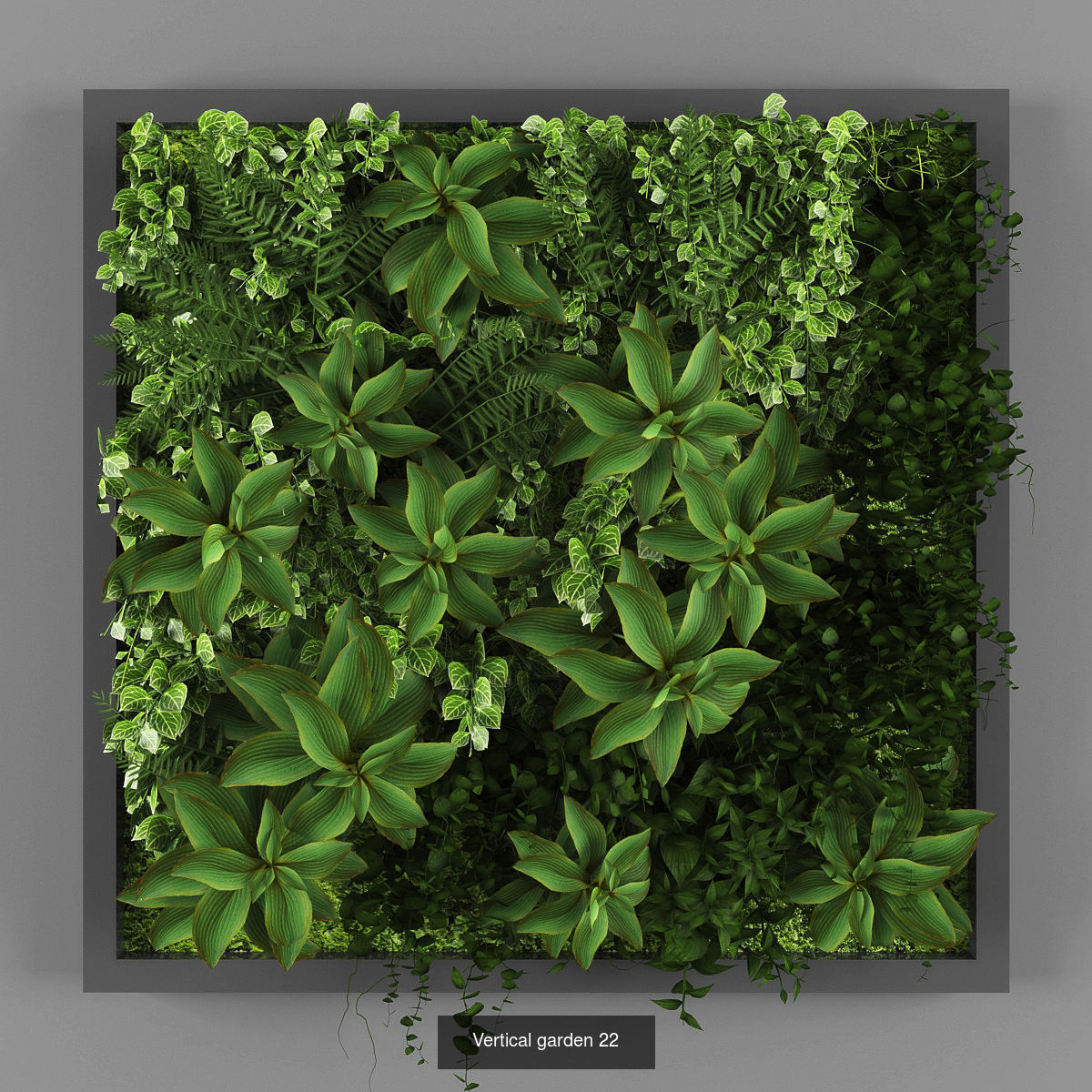 Collection of Vertical garden - 20 _15