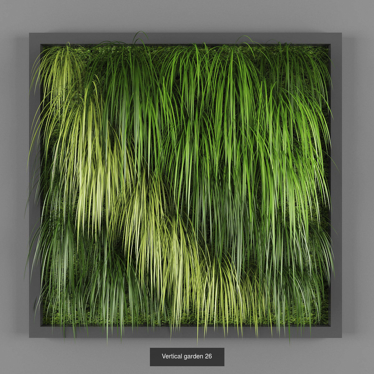 Collection of Vertical garden - 20 _19