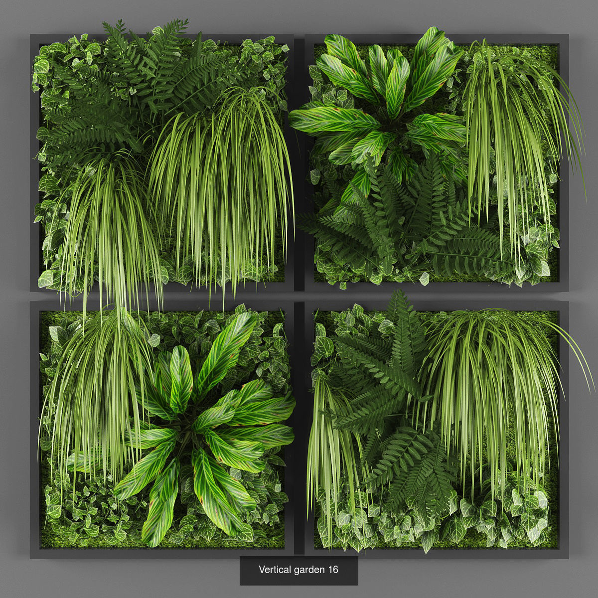 Collection of Vertical garden - 20 _9