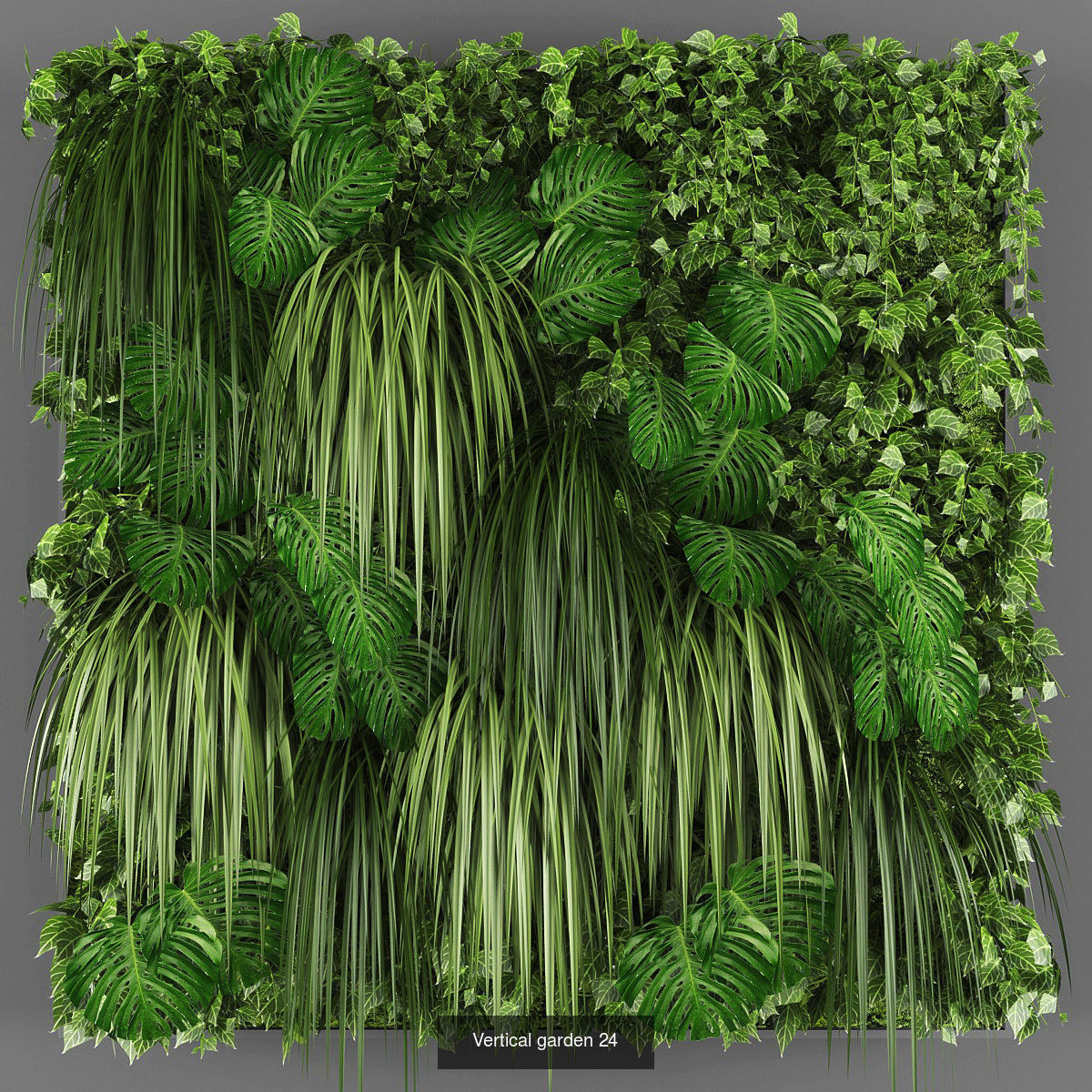 Collection of Vertical garden - 20 _17