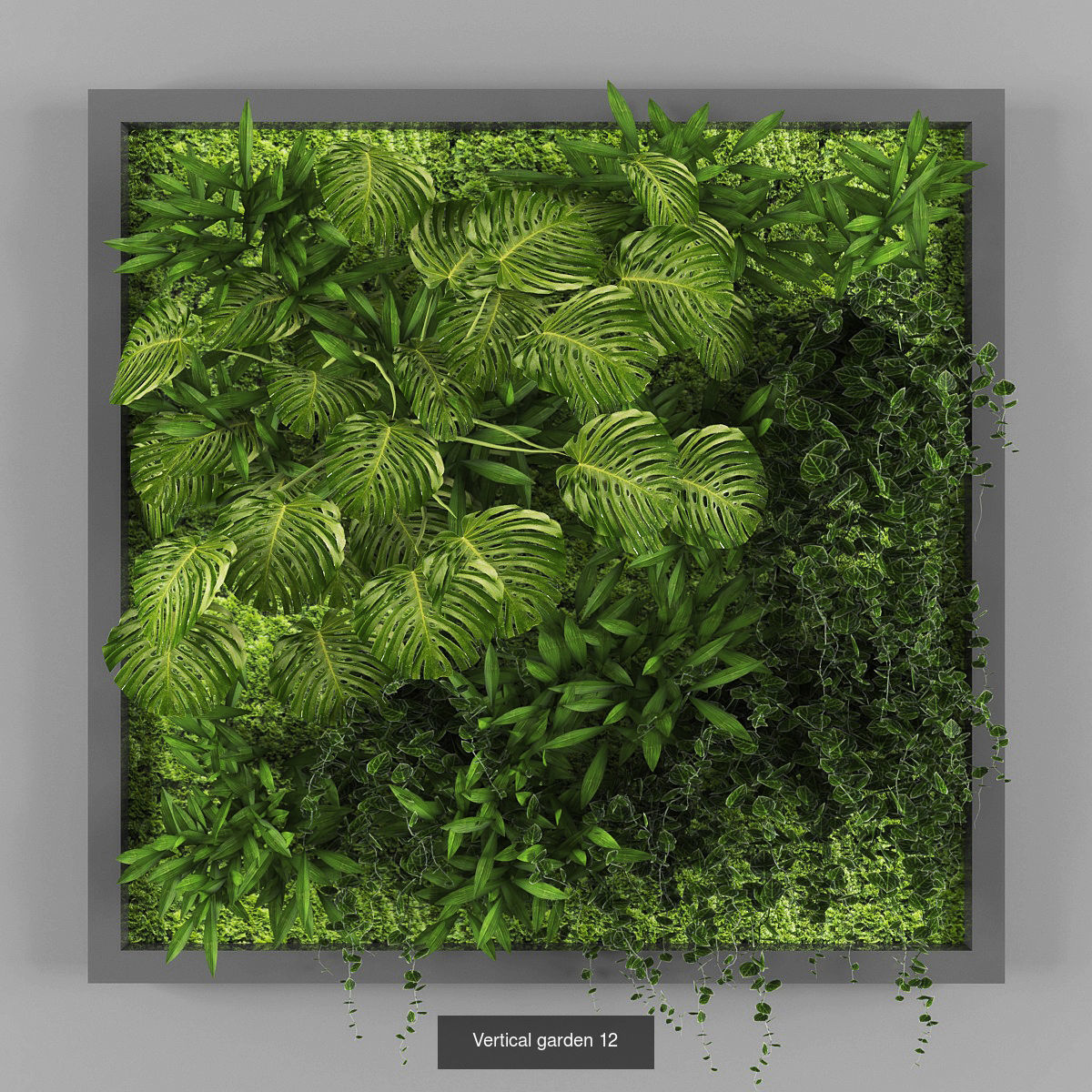 Collection of Vertical garden - 20 _5