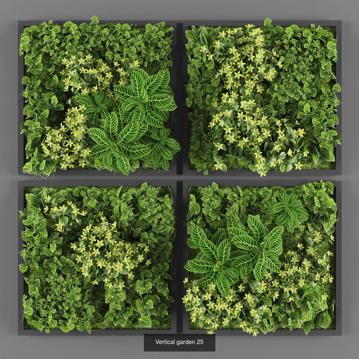 Collection of Vertical garden - 20 _18