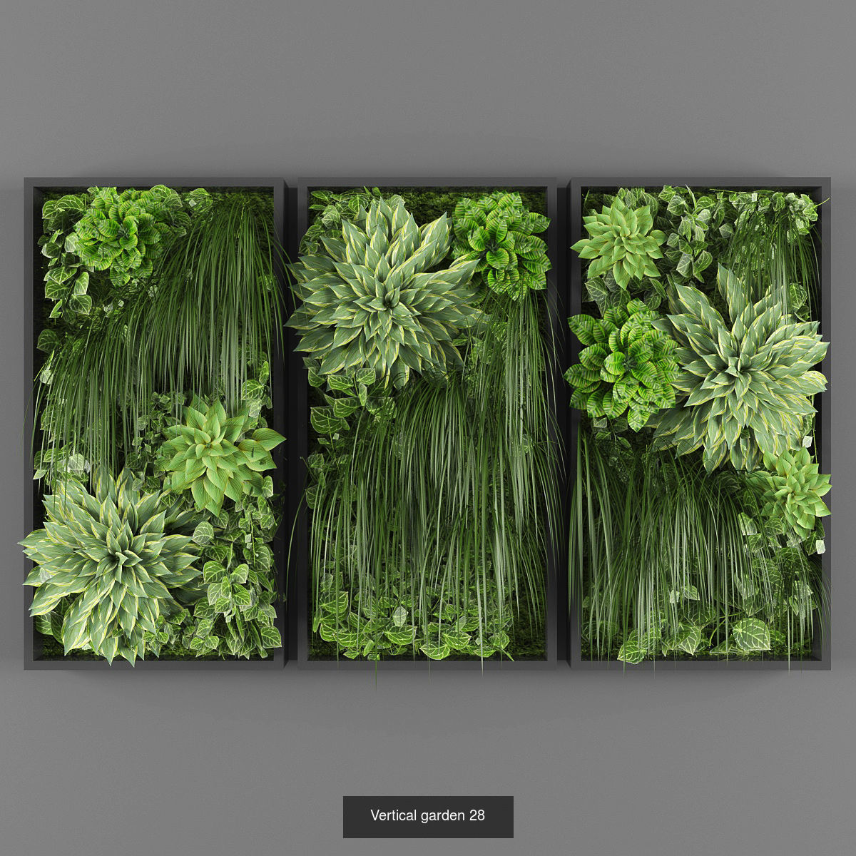 Collection of Vertical garden - 20 _21