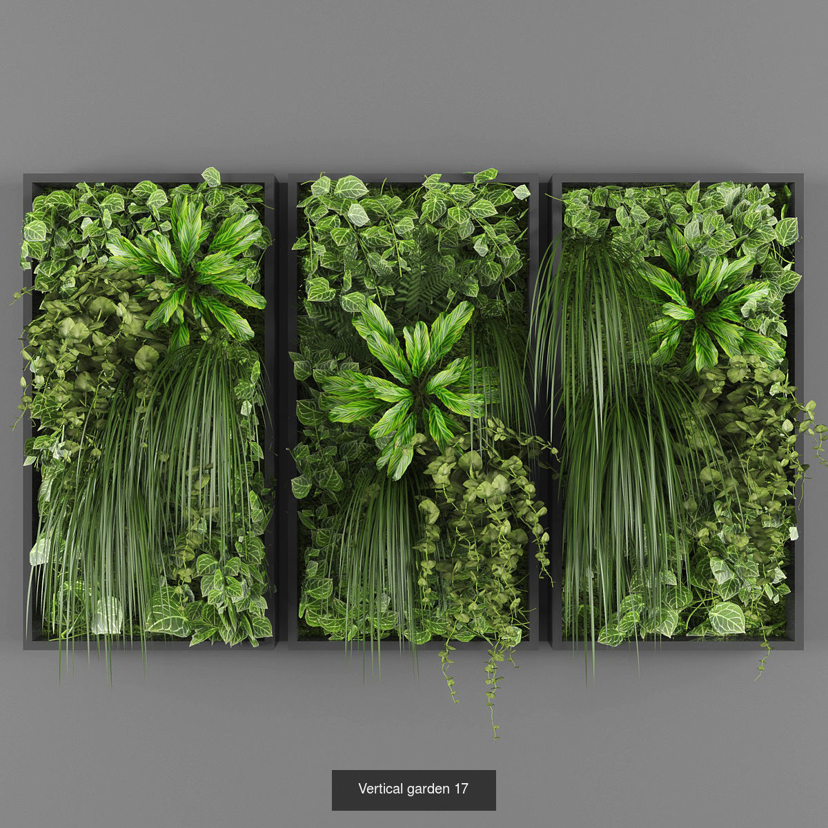 Collection of Vertical garden - 20 _10