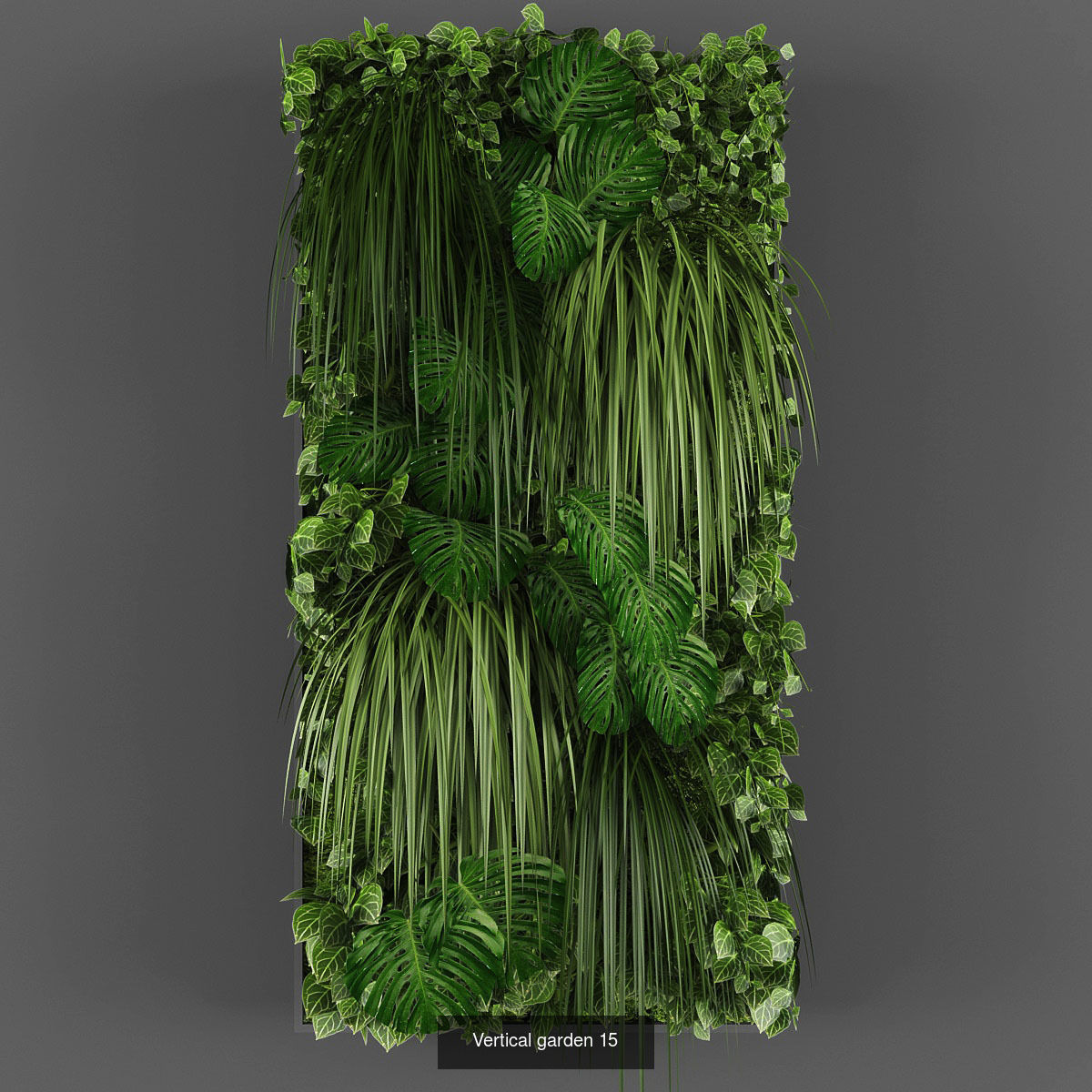 Collection of Vertical garden - 20 _8