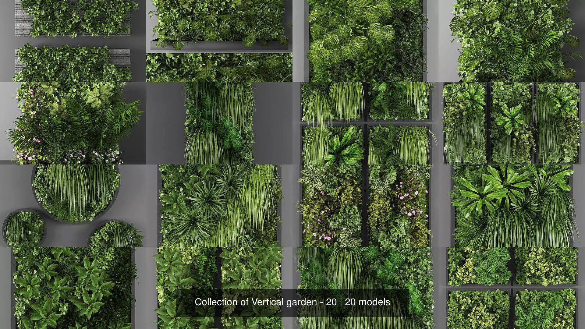 Collection of Vertical garden - 20 _0