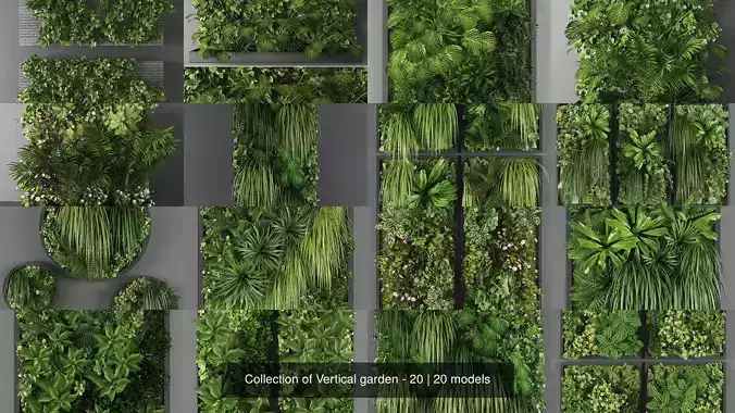Collection of Vertical garden - 20 