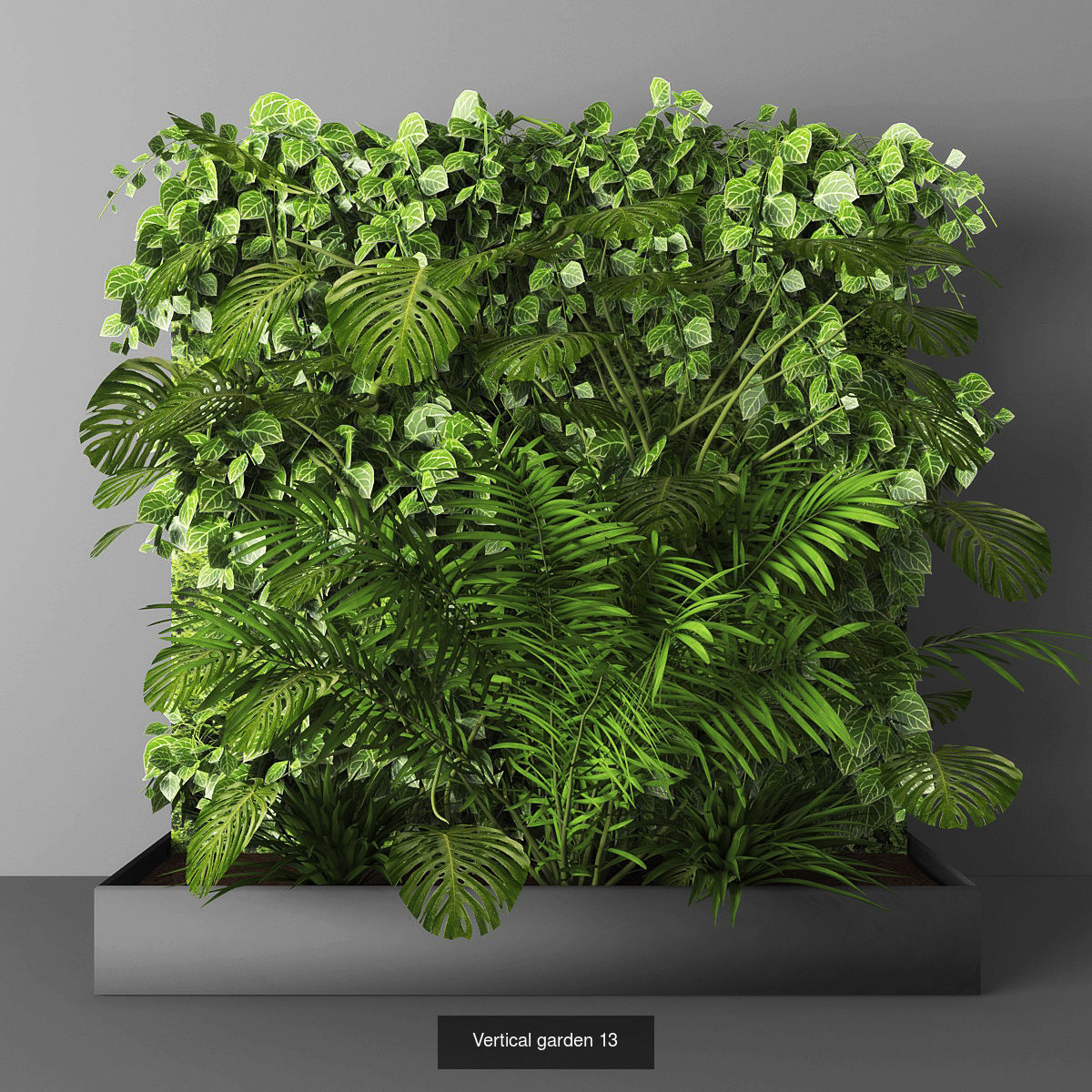 Collection of Vertical garden - 20 _6