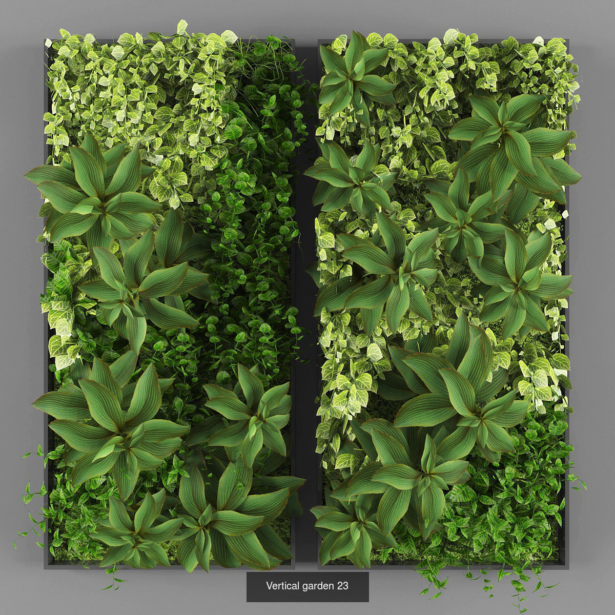 Collection of Vertical garden - 20 _16