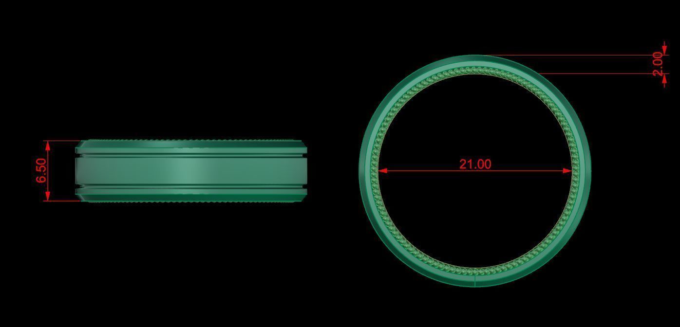 Ring 69 3D print model_7