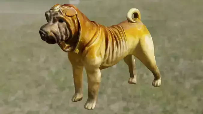 Shar Pei 3D print model