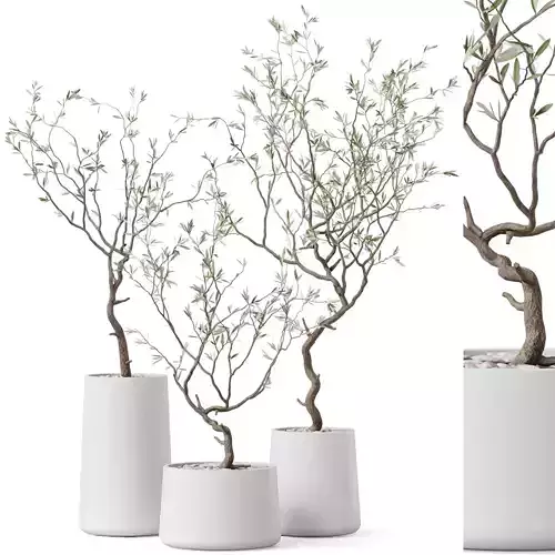 Plants collection 887 3D model