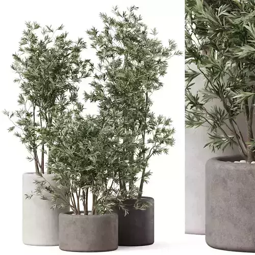 Plants collection 893 3D model