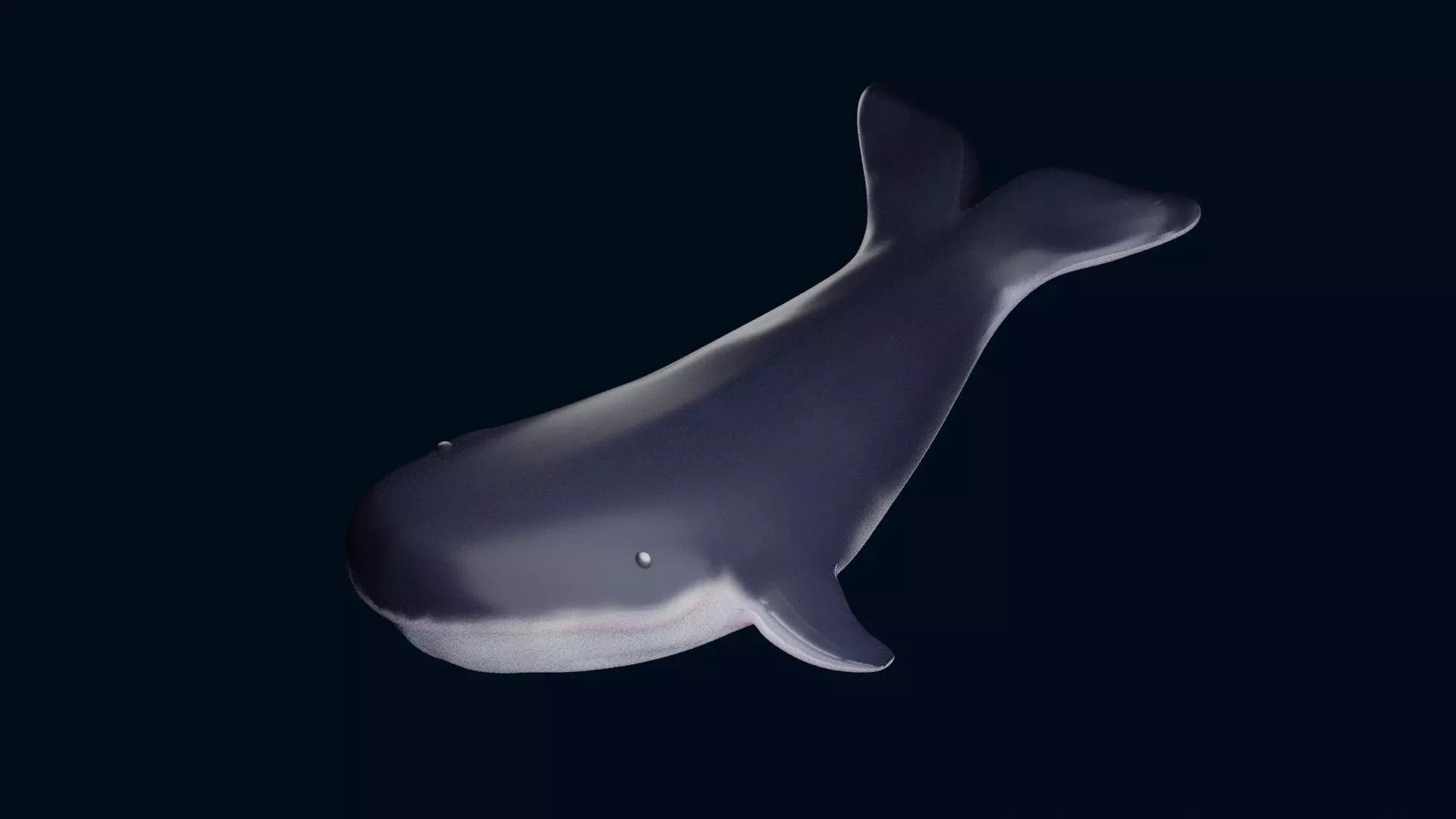 Whale 3D Model 3D print model