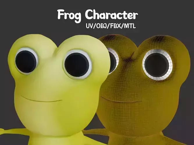 Frog  3D model  character