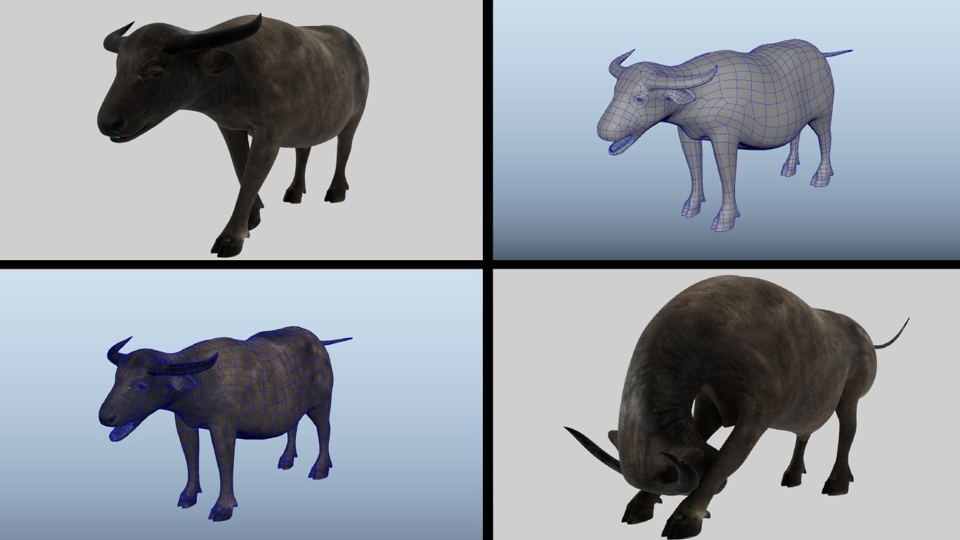11 Farm - Domestic Animal Models Pack Low-poly  Low-poly 3D model_25