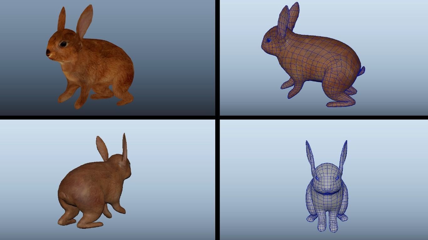 11 Farm - Domestic Animal Models Pack Low-poly  Low-poly 3D model_24