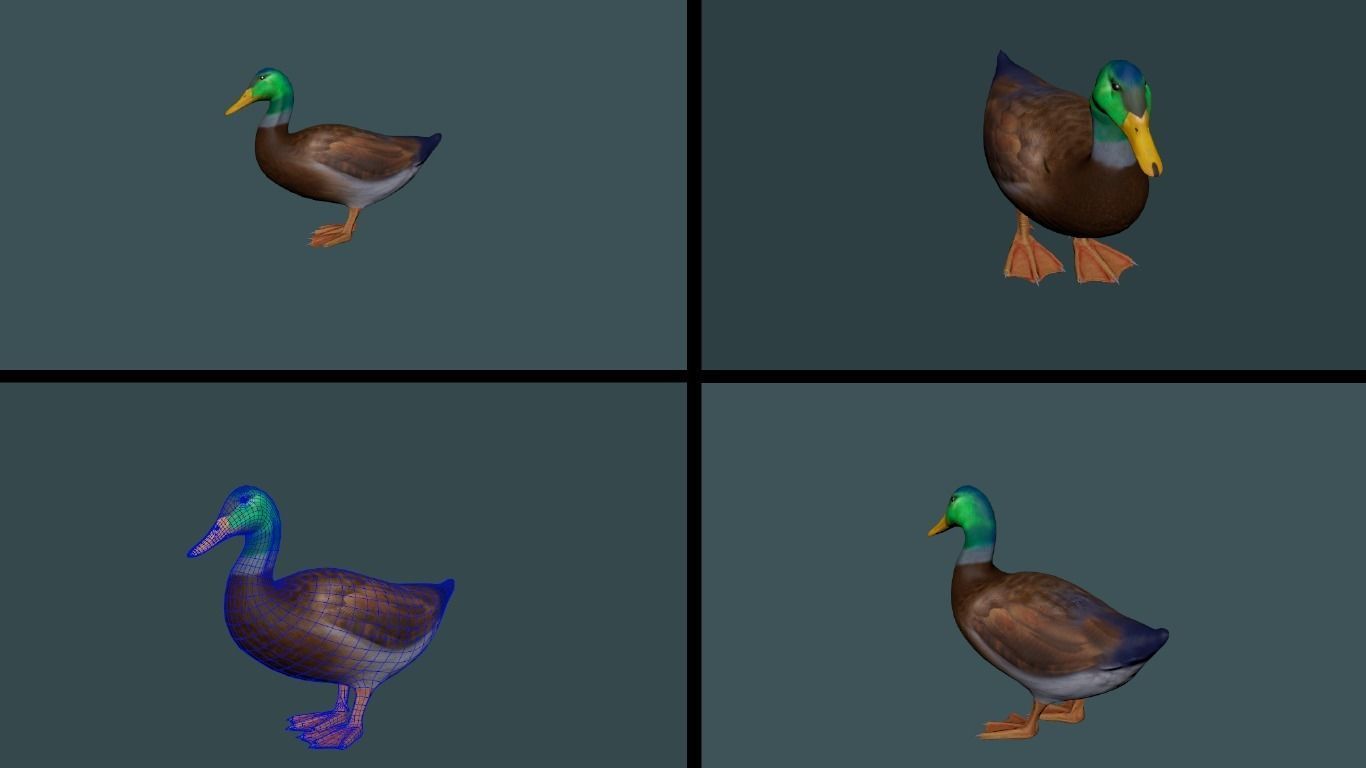 11 Farm - Domestic Animal Models Pack Low-poly  Low-poly 3D model_20