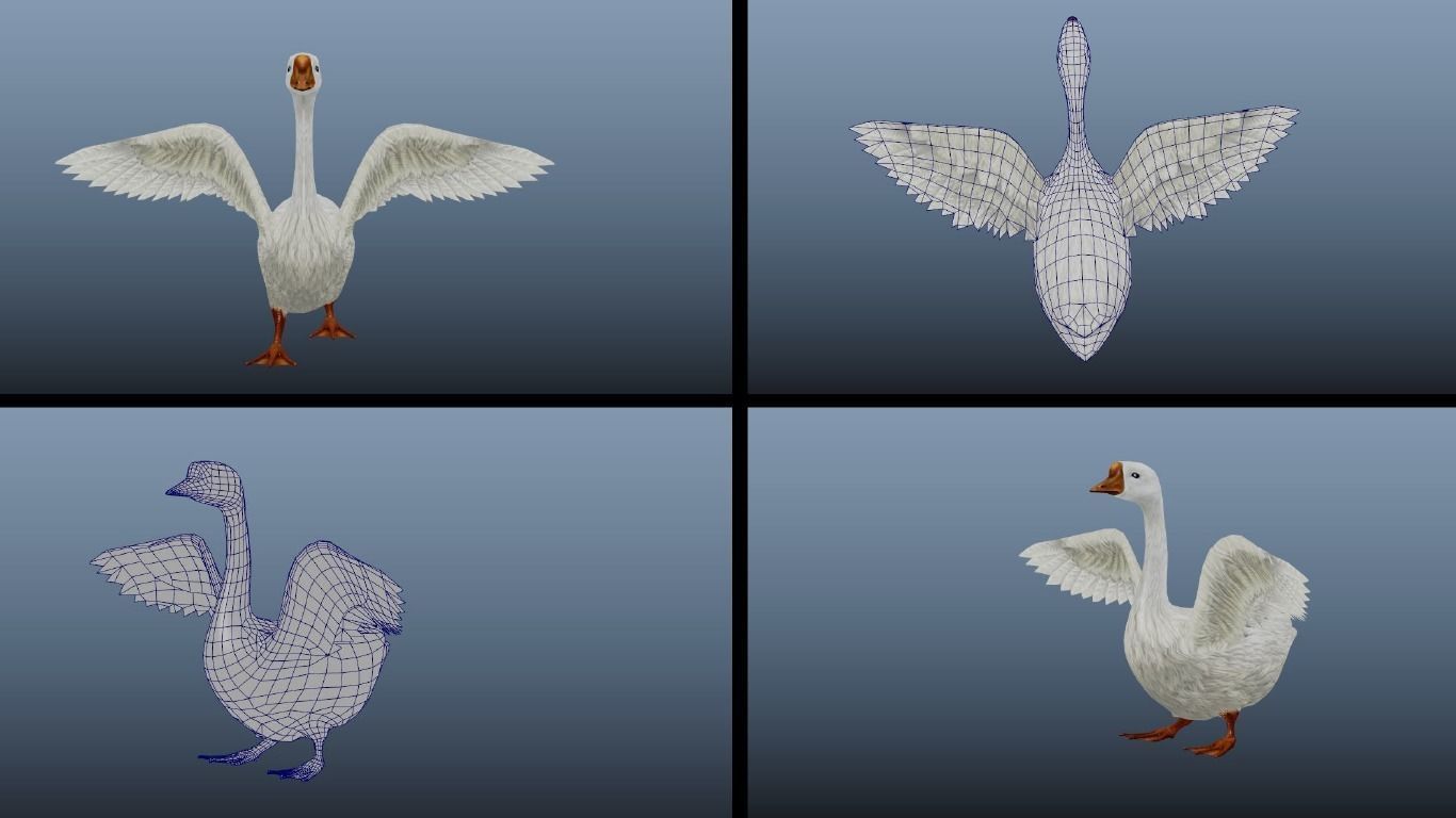 11 Farm - Domestic Animal Models Pack Low-poly  Low-poly 3D model_22