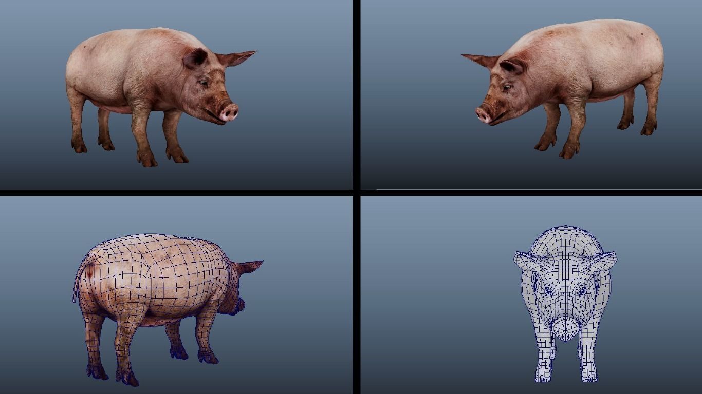 11 Farm - Domestic Animal Models Pack Low-poly  Low-poly 3D model_16