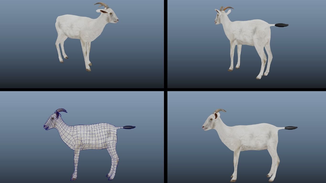 11 Farm - Domestic Animal Models Pack Low-poly  Low-poly 3D model_21