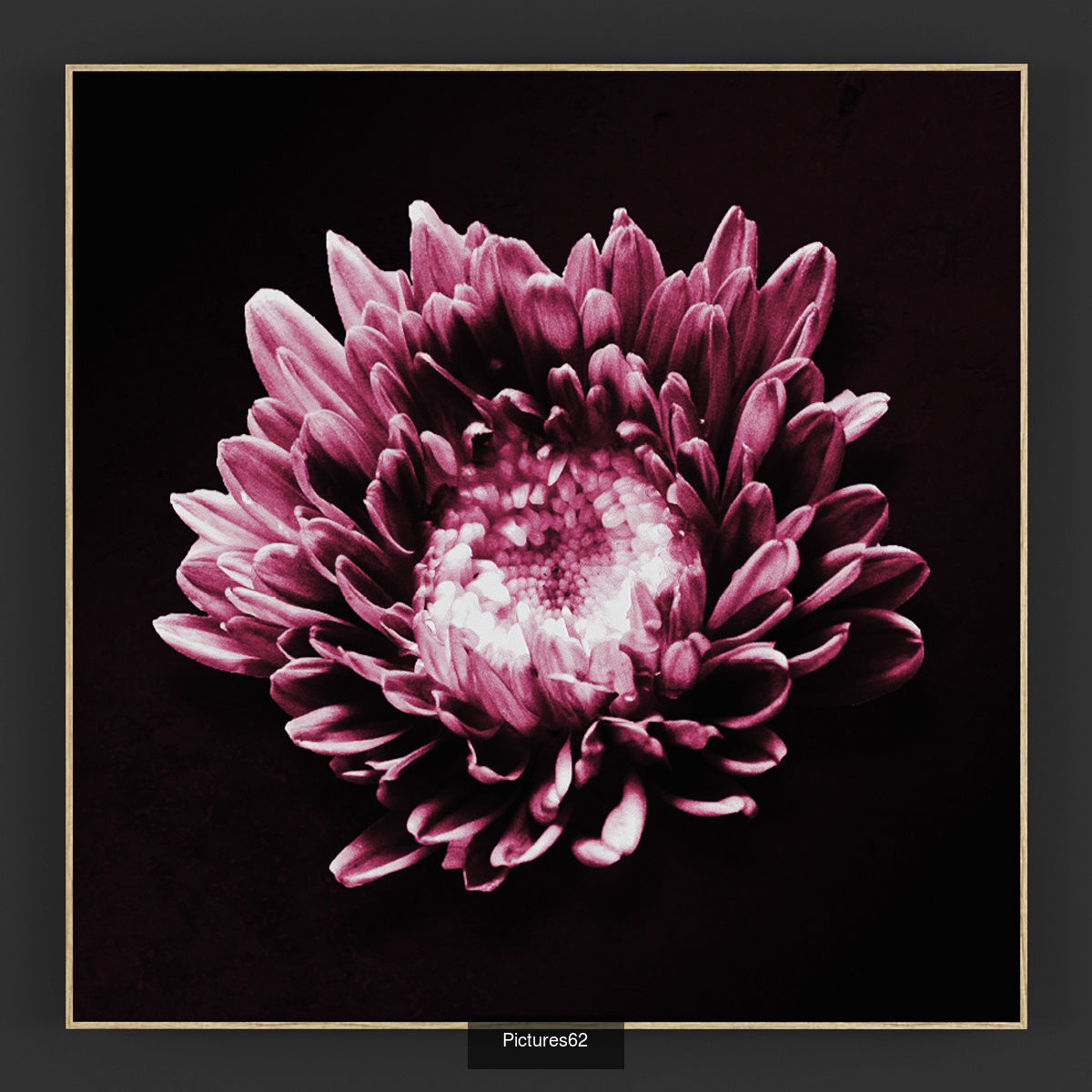 art of collection 59 sets _17