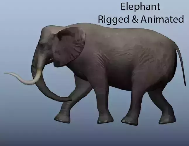African Elephant Animated 3D model Low-poly 3D model