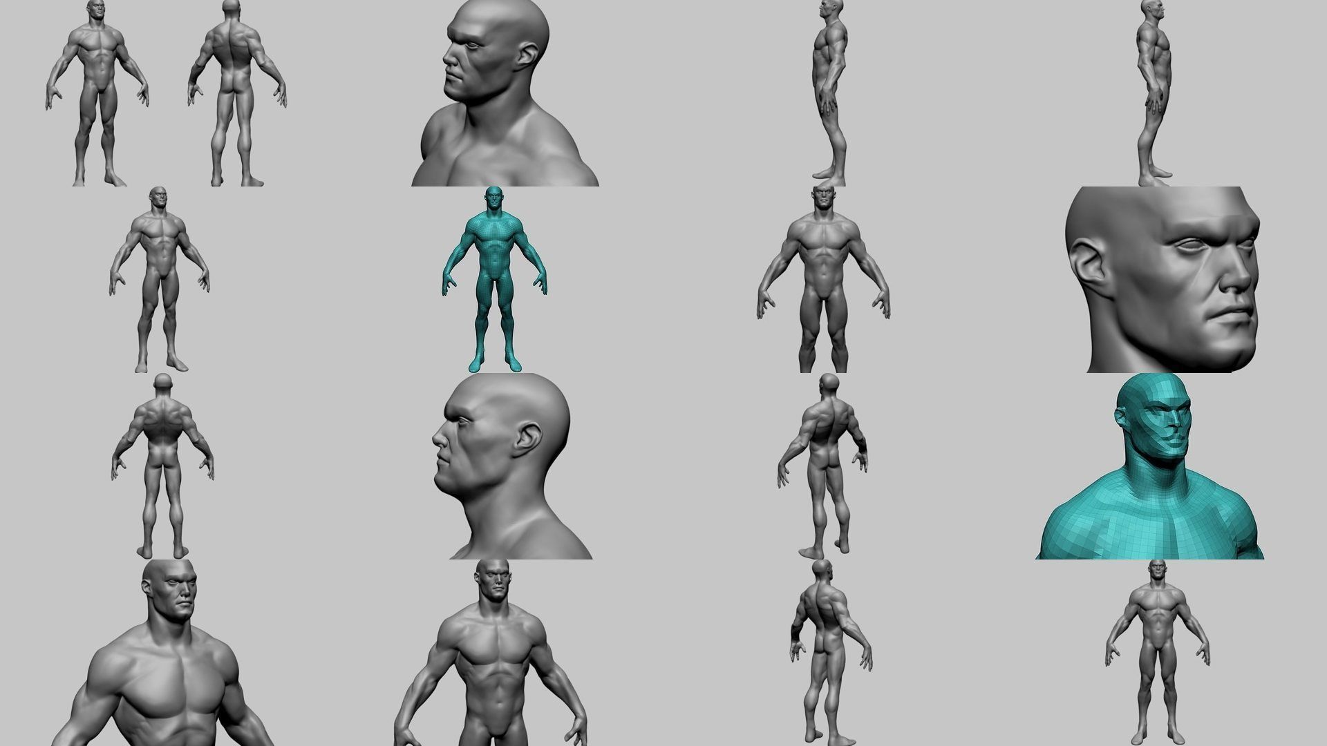 Various Male Head and Body Models 3D Model Collection_1
