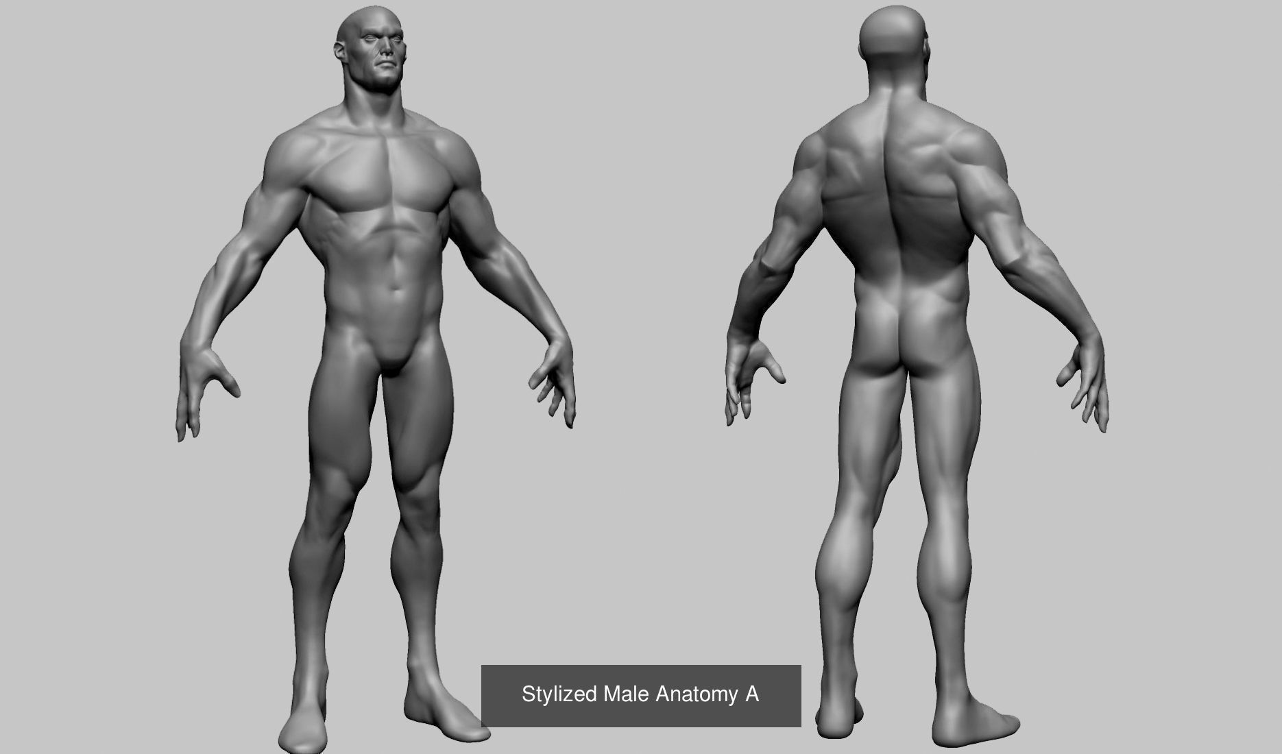 Various Male Head and Body Models 3D Model Collection_19