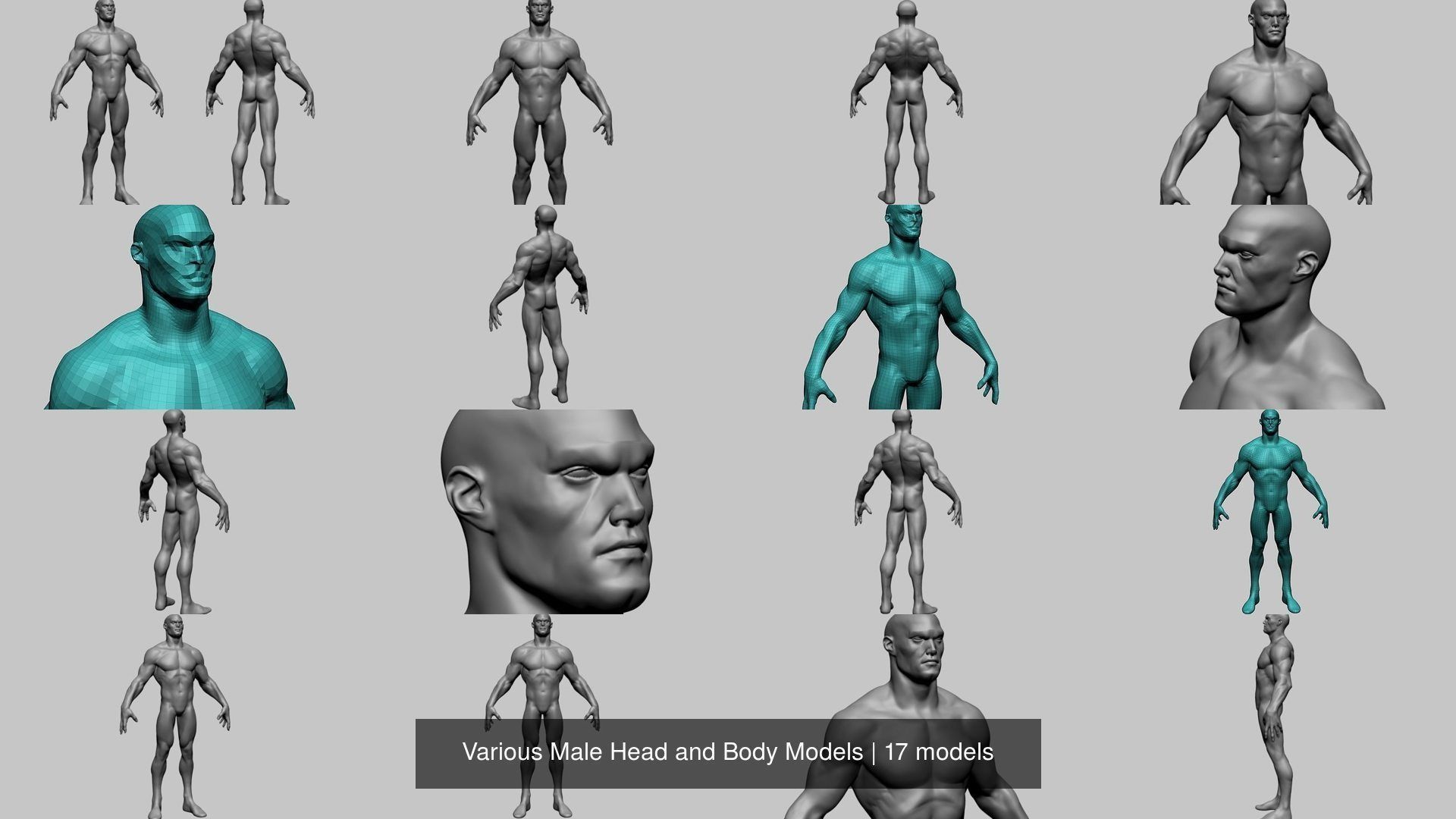 Various Male Head and Body Models 3D Model Collection_2