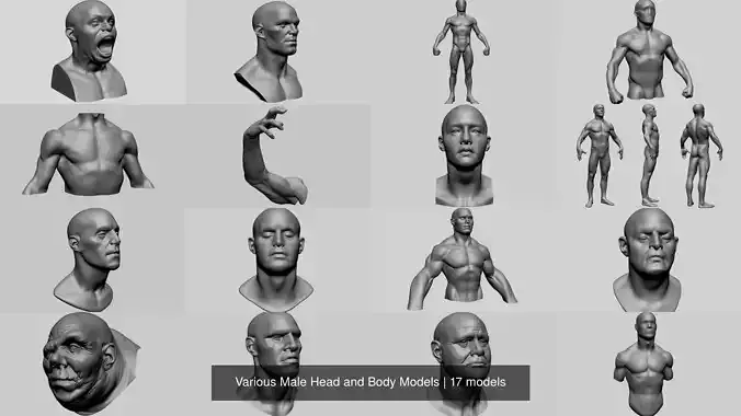 Various Male Head and Body Models 3D Model Collection