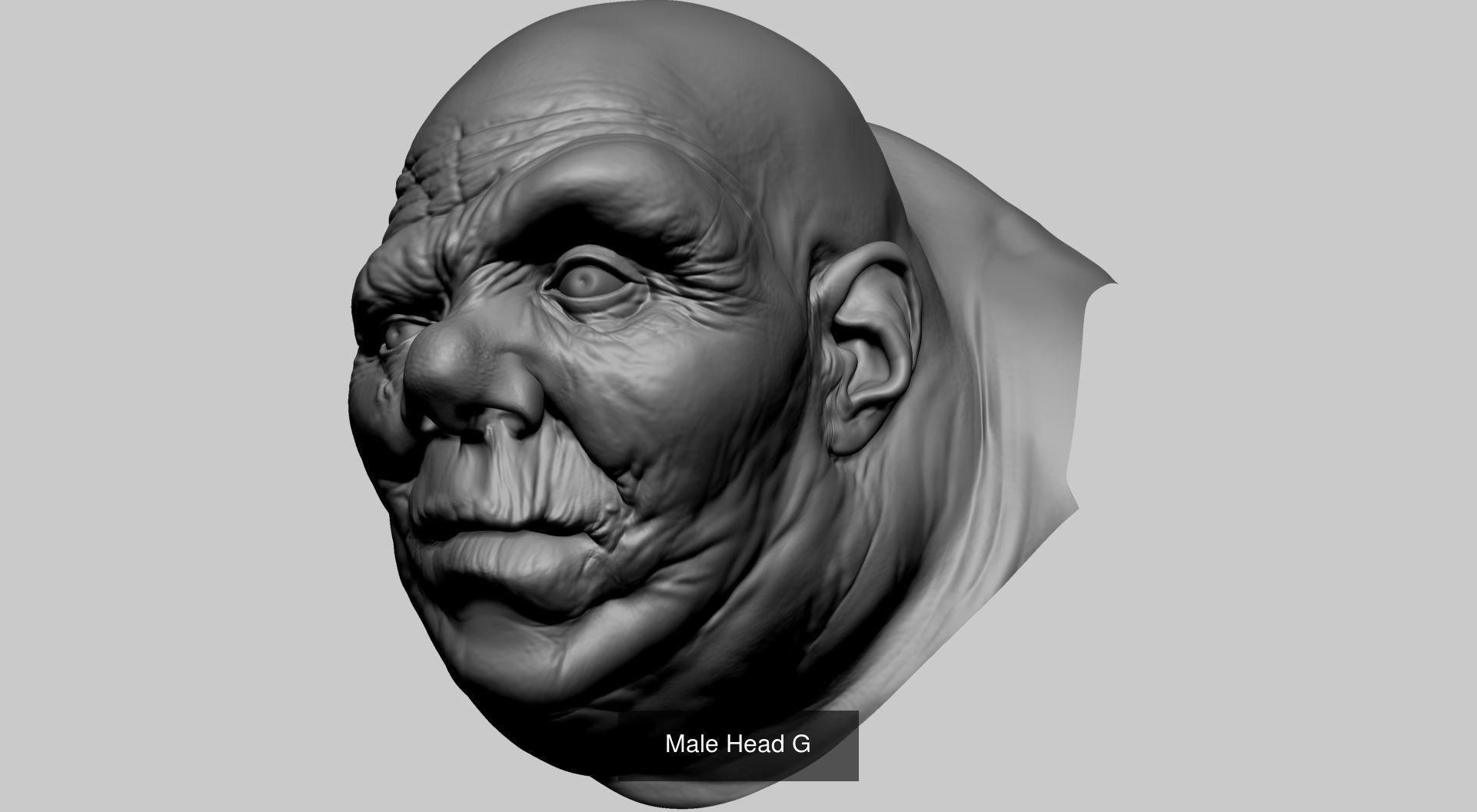 Various Male Head and Body Models 3D Model Collection_15