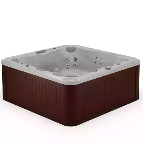 3D model of Hot Tub Jacuzzi Sundance Spas Ramona Low-poly 3D model