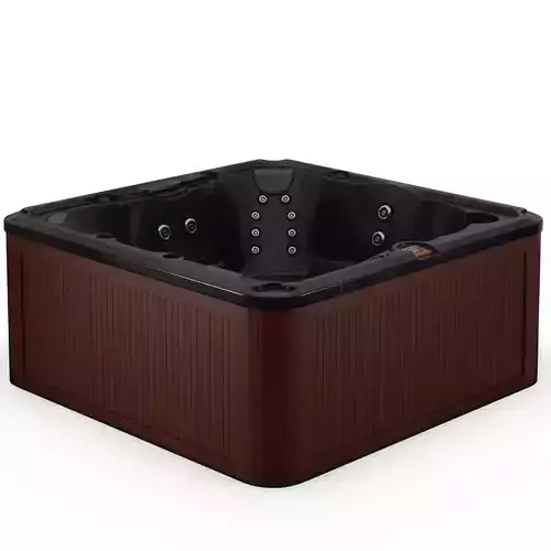 3D model of Hot Tub Jacuzzi Sundance Spas Peyton Low-poly 3D model
