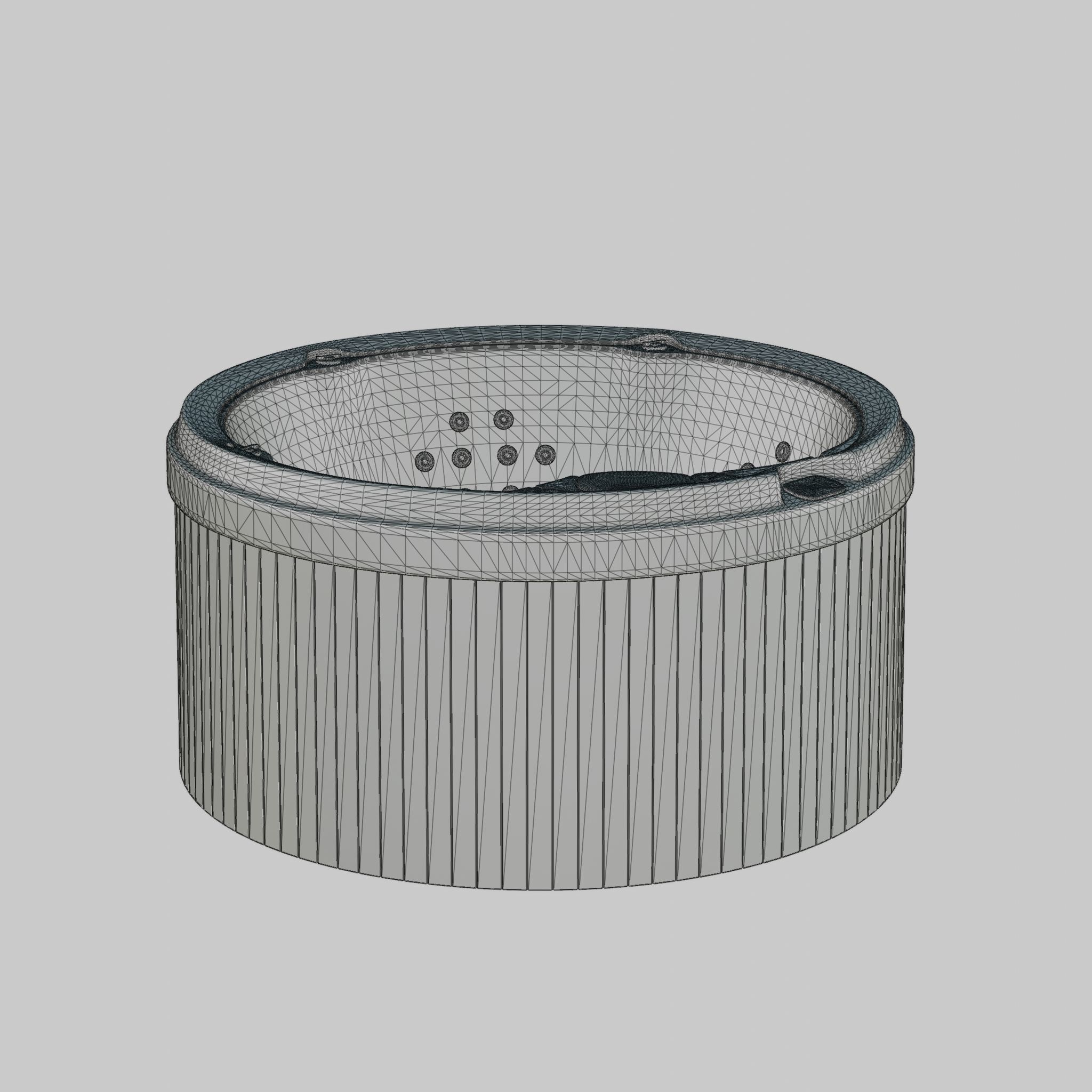 3D model of Hot Tub Jacuzzi Sundance Spas Denali Low-poly 3D model_4