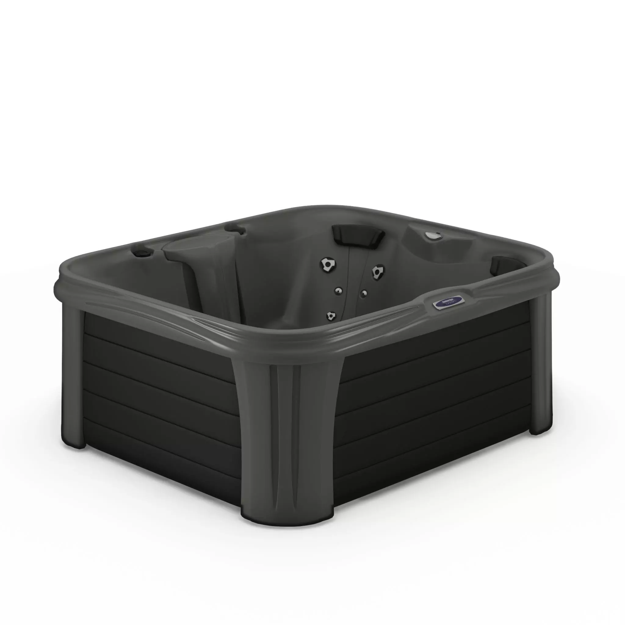 3D model of Hot Tub Jacuzzi Sundance Spas Paisley Low-poly 3D model_0