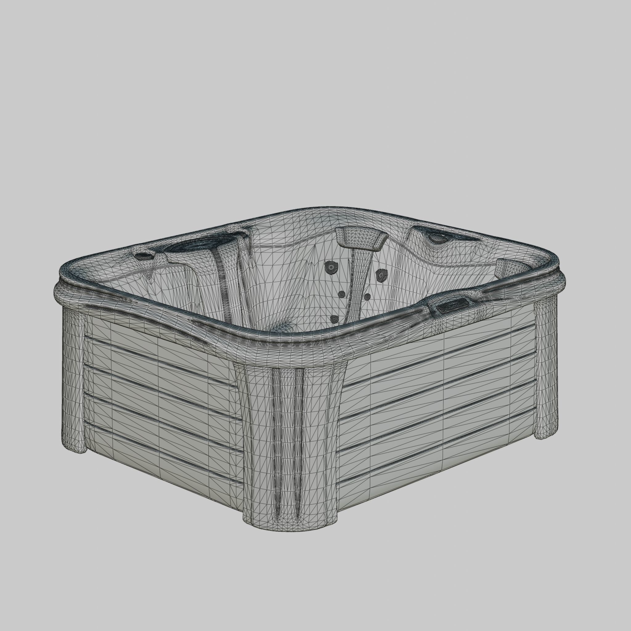3D model of Hot Tub Jacuzzi Sundance Spas Paisley Low-poly 3D model_4
