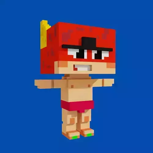 The flash minecraft character