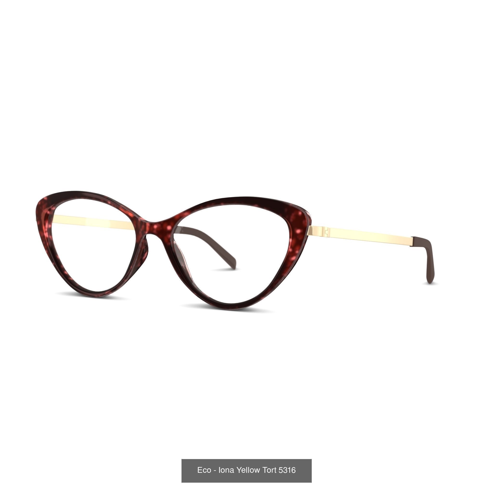 COLLECTION-172 OF SUNGLASSES - 5 models  _2
