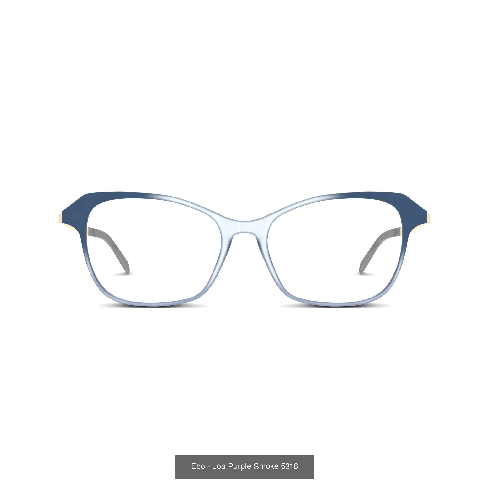 COLLECTION-178 OF SUNGLASSES - 5 models _5