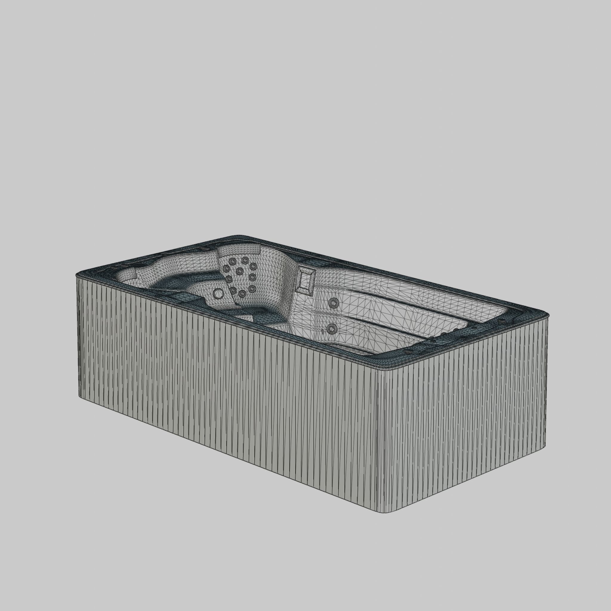 3D model of Hot Tub Jacuzzi Swim Life DualStream Low-poly 3D model_4
