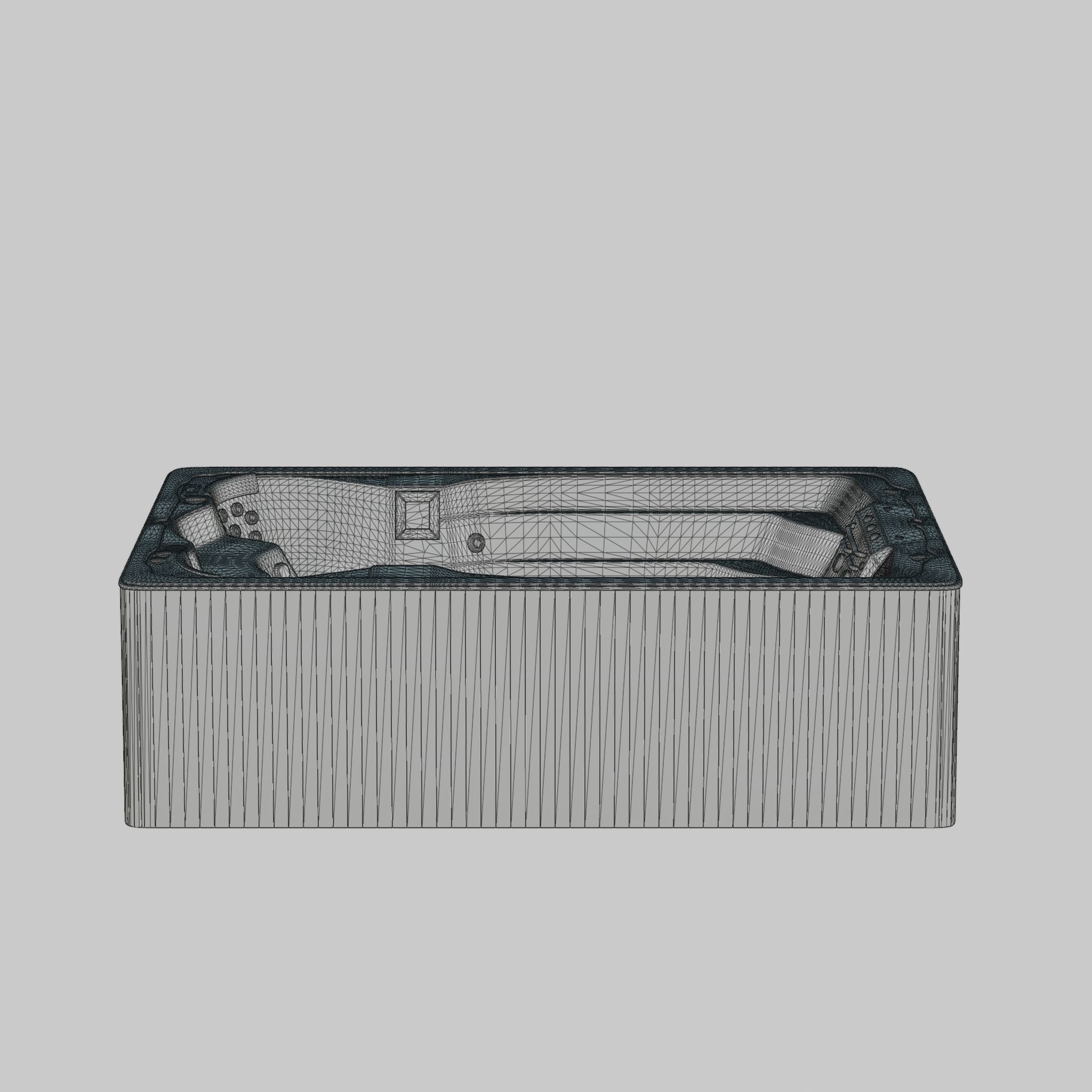 3D model of Hot Tub Jacuzzi Swim Life DualStream Low-poly 3D model_6