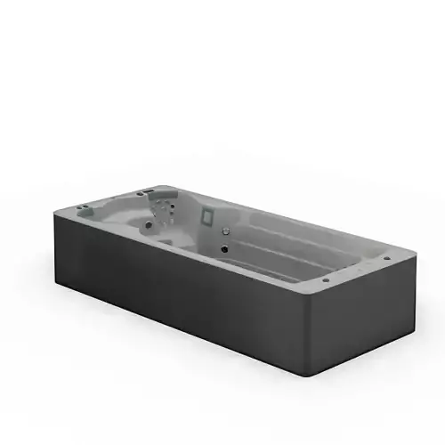 3D model of Hot Tub Jacuzzi Swim Life DualStream  Low-poly 3D model
