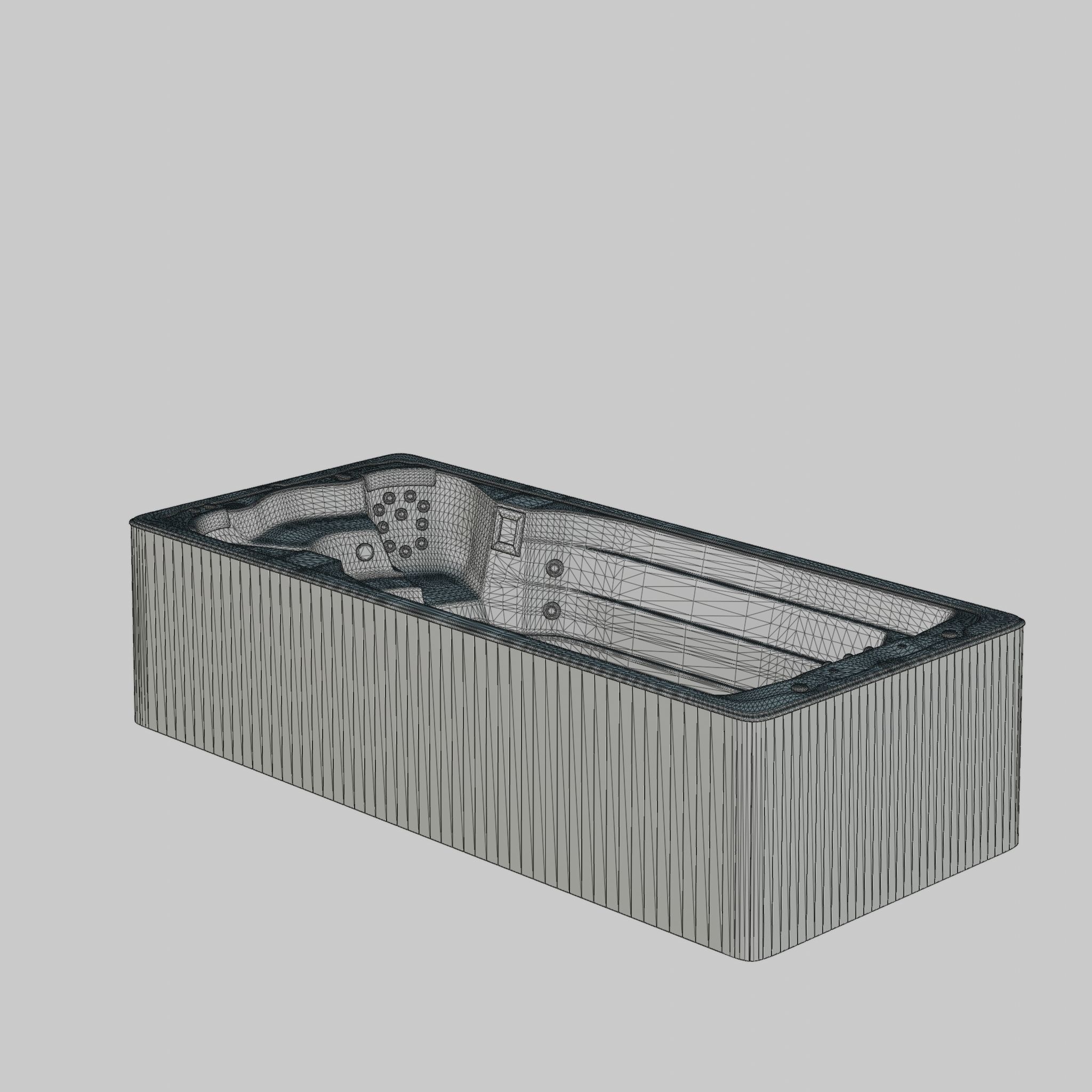 3D model of Hot Tub Jacuzzi Swim Life DualStream  Low-poly 3D model_3