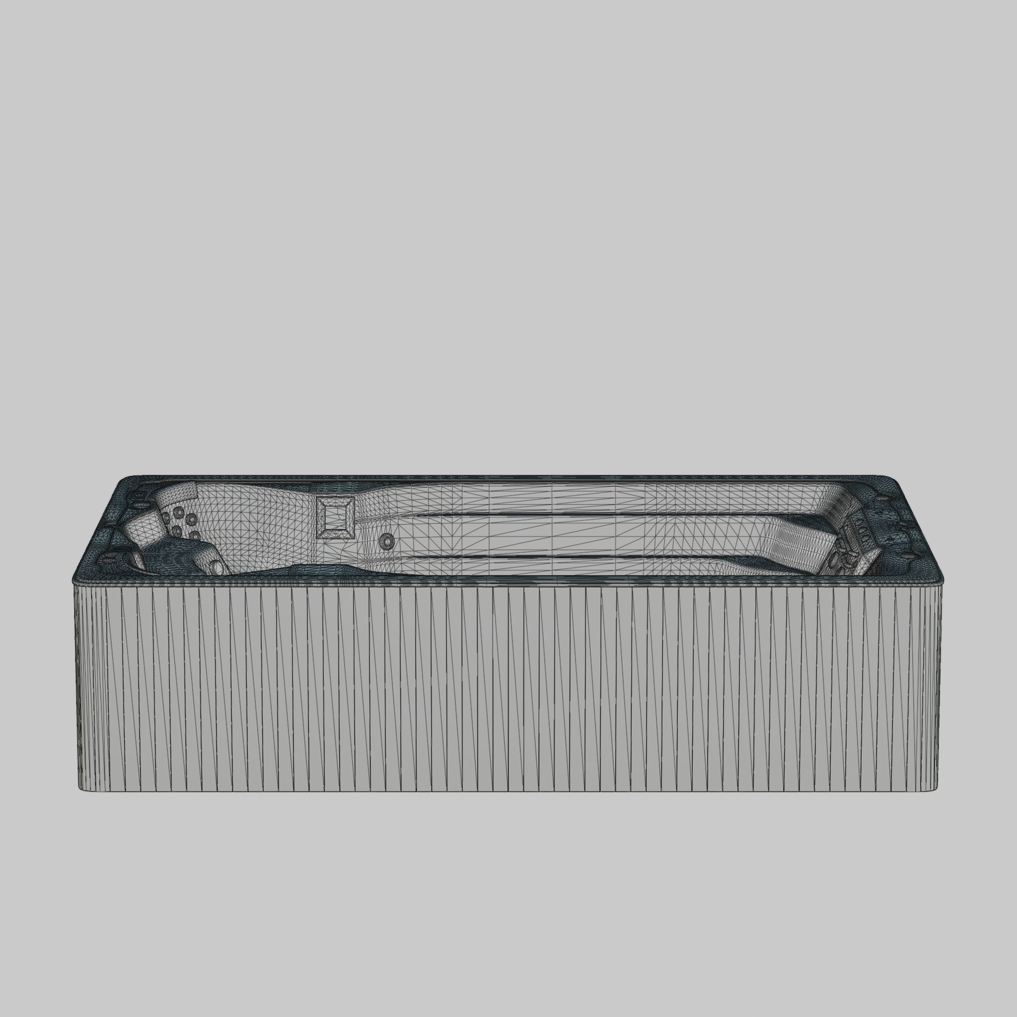 3D model of Hot Tub Jacuzzi Swim Life DualStream  Low-poly 3D model_5