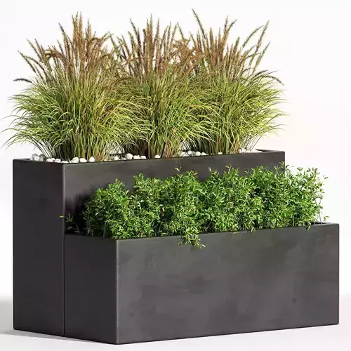 Outdoor Plants tree 15