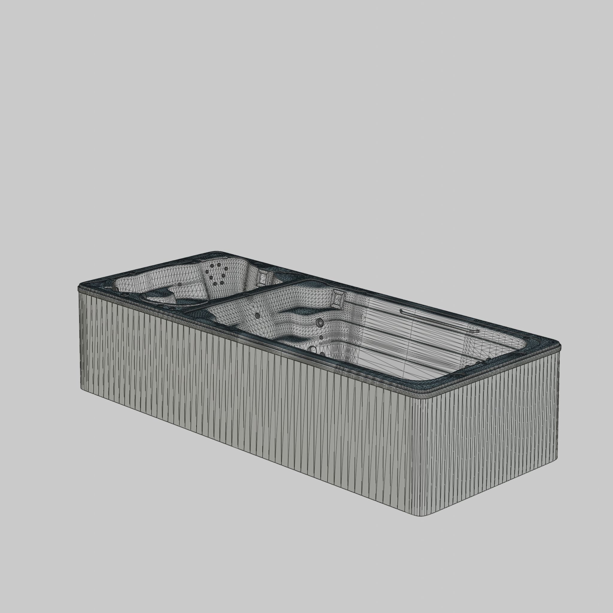 3D model of Hot Tub Jacuzzi Swim Life DualStream 19 Low-poly 3D model_4