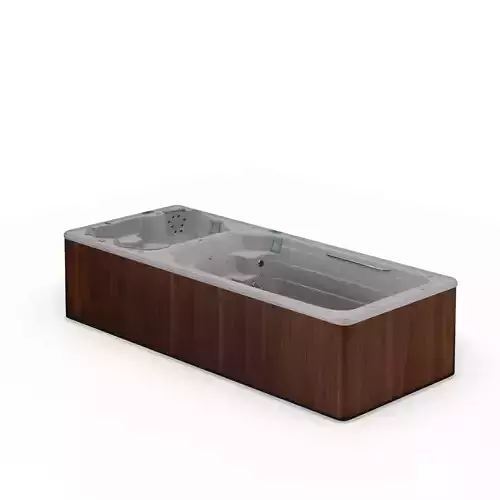 3D model of Hot Tub Jacuzzi Swim Life DualStream 19 Low-poly 3D model