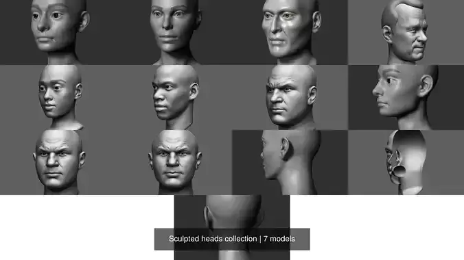 Sculpted heads collection 
